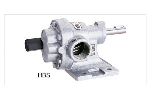 hbs-300×200